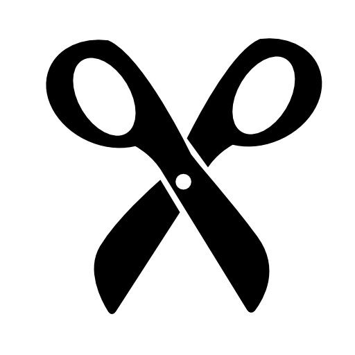 Scissors inverted view