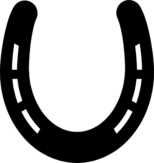 Horseshoe without holes and with slits
