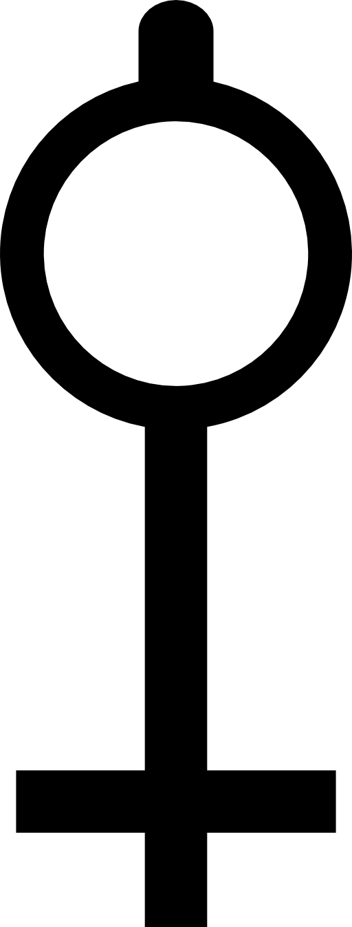 Key shape similar to life key symbol