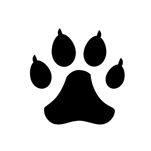 Dog footprints