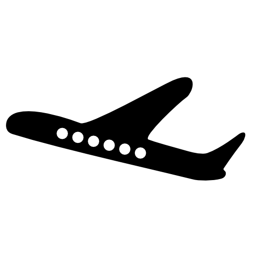 Black plane