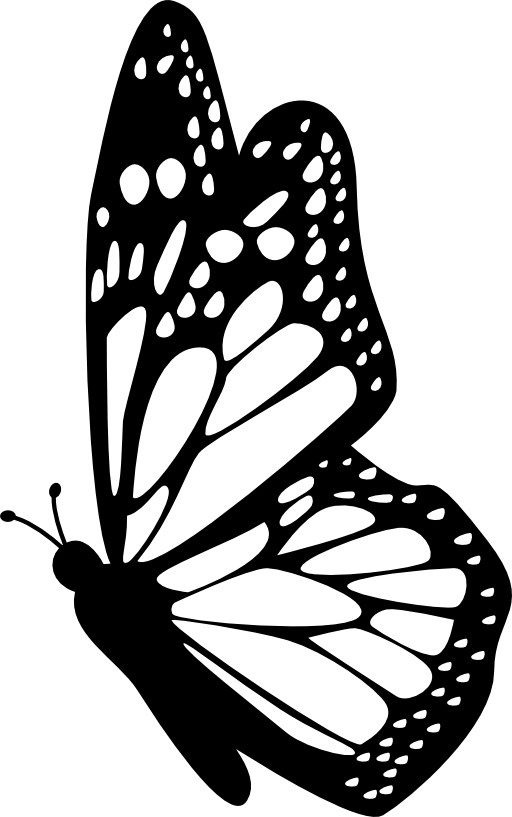 Butterfly side view with detailed wings