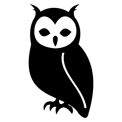 Owl, bird, animal