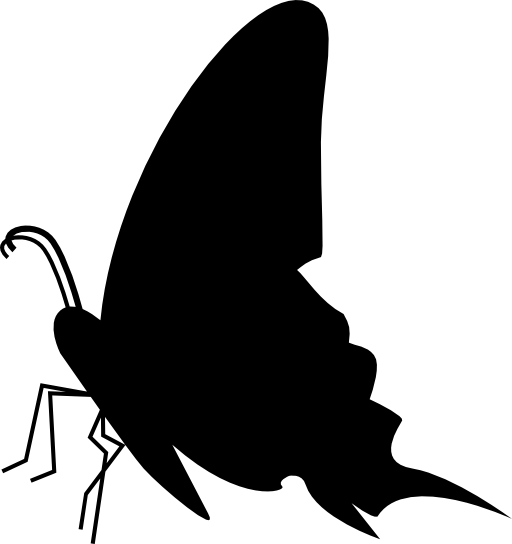 Butterfly black side view silhouette
