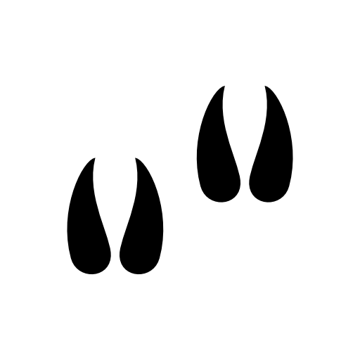 Animal footprints couple