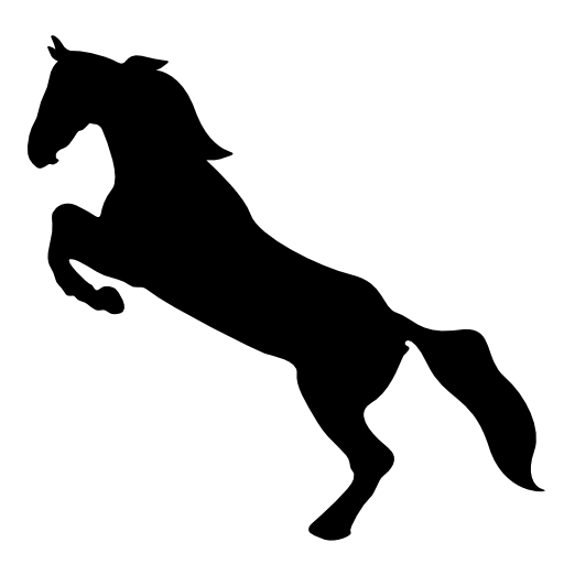 Horse standing on back paws