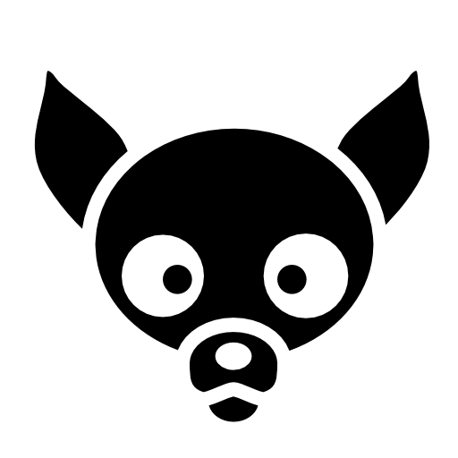 Chihuahua dog face