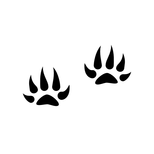 Mammal pawprints with points