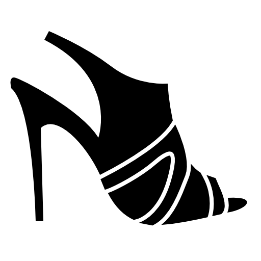 Stylish female footwear