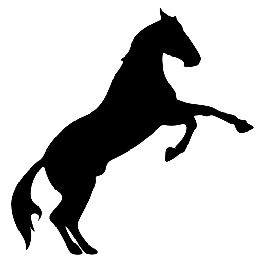 Horse raising feet silhouette