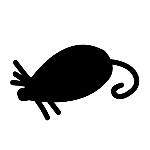 Black mouse