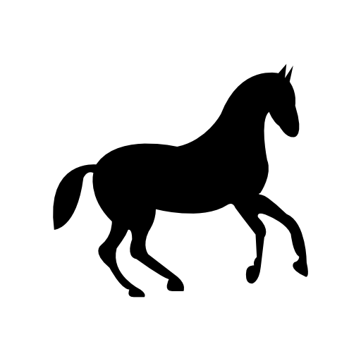 Dancing race black horse