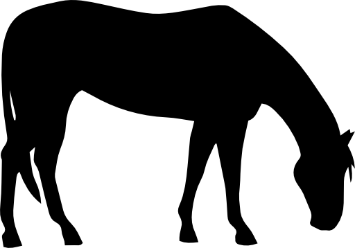 Horse grazing black silhouette