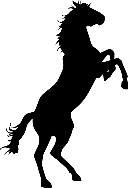 Wild horse black silhouette