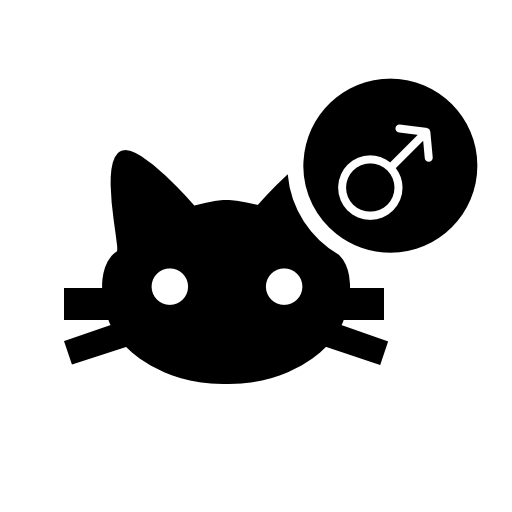 Male cat