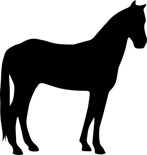 Horse quiet black silhouette