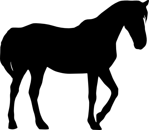 Horse black silhouette