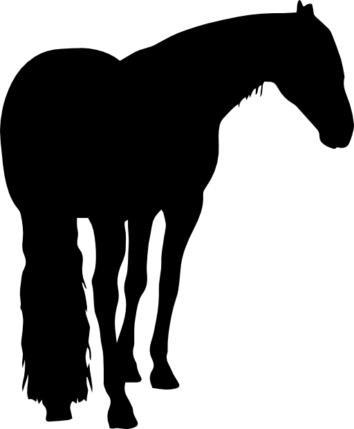 Horse black shape with long tail