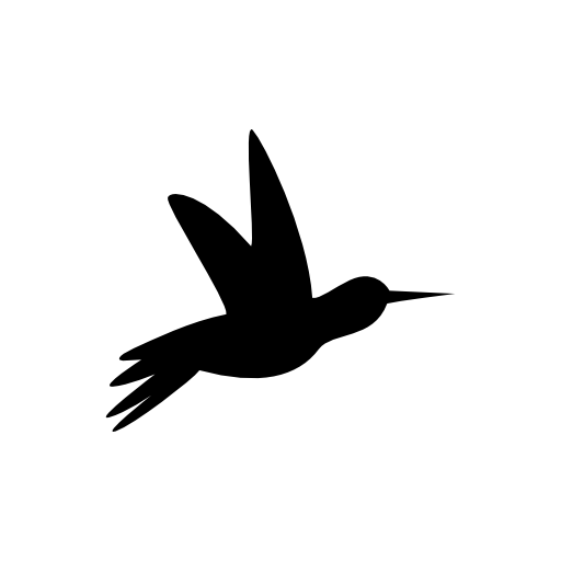 Humming bird black side silhouette