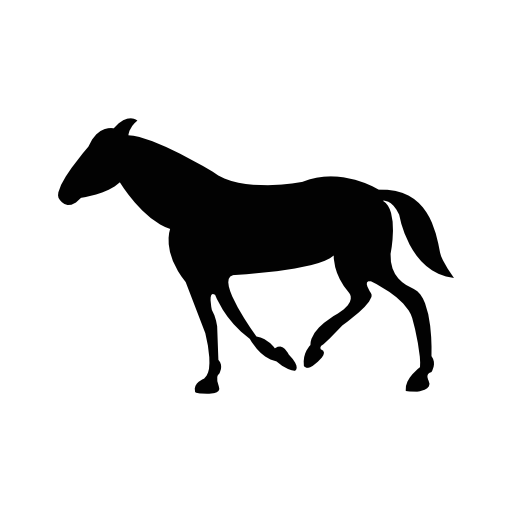 Black walking horse with tail down